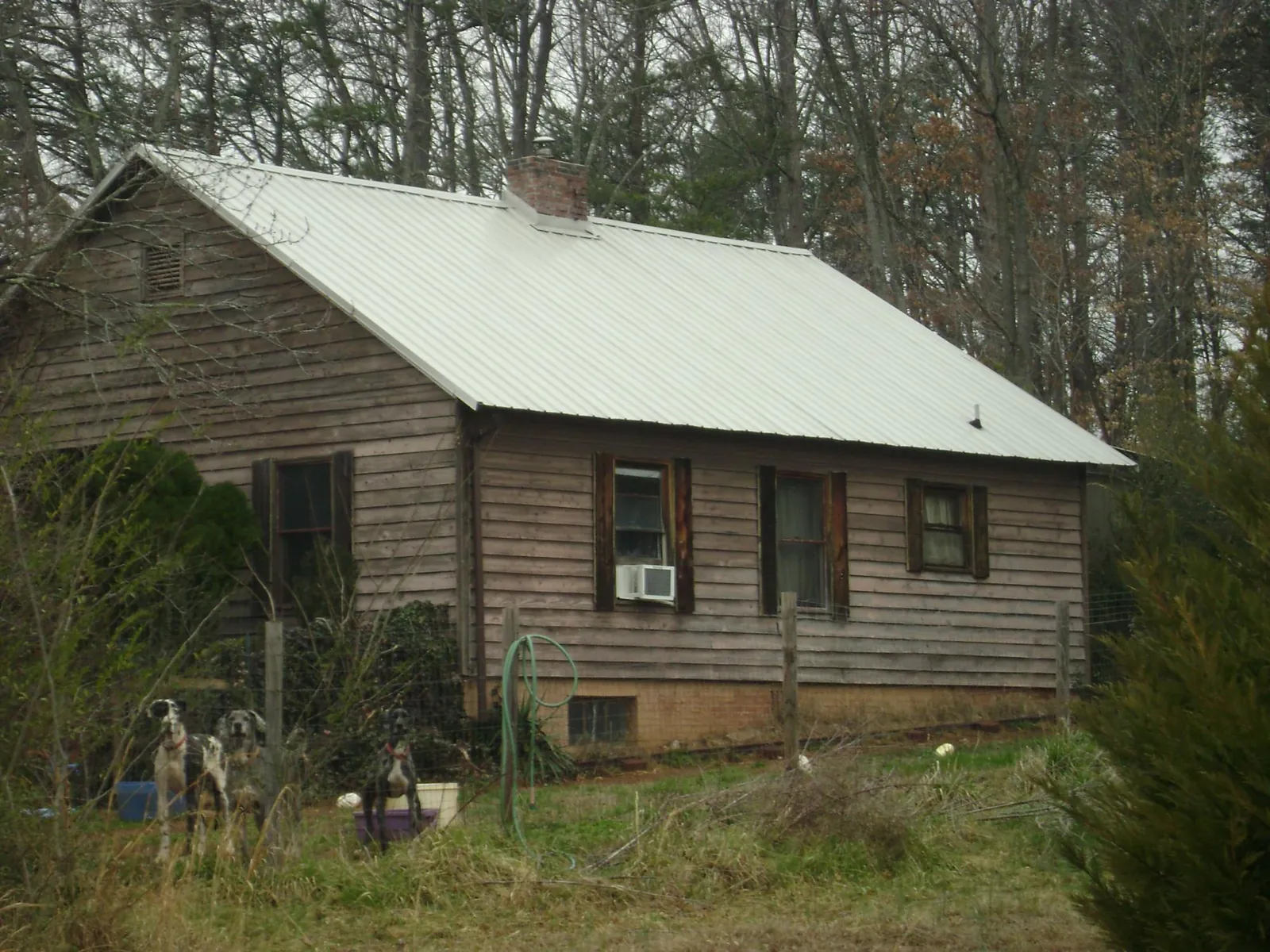 White metal roof on an old wood sided farmhouse, from a Asphalt Shingle Roof Repair job in Leon